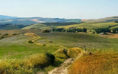 Cavalcata dell’Assunta: Fermo è pronta per l’appuntamento dell’estate!
