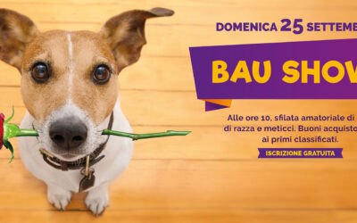 2° edizione Bau Show