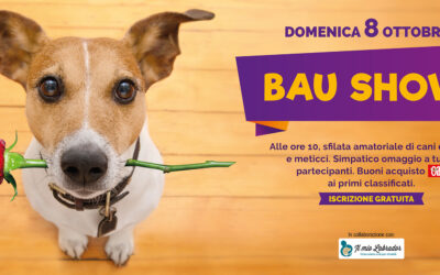 3° edizione Bau Show