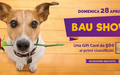 4° edizione Bau Show