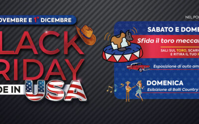 Black Friday Made in USA